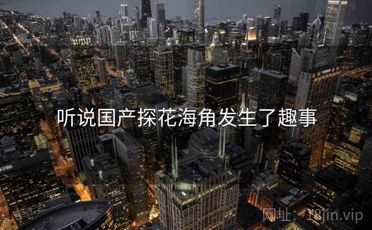 听说国产探花海角发生了趣事