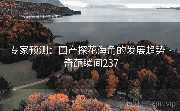 专家预测：国产探花海角的发展趋势 · 奇葩瞬间237