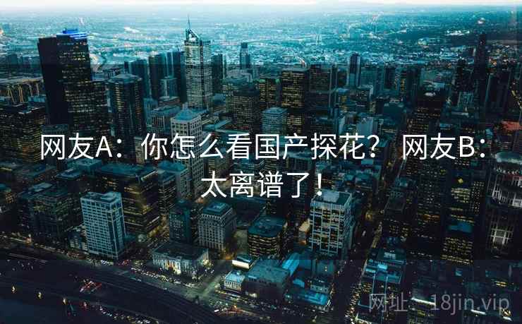 网友A：你怎么看国产探花？ 网友B：太离谱了！