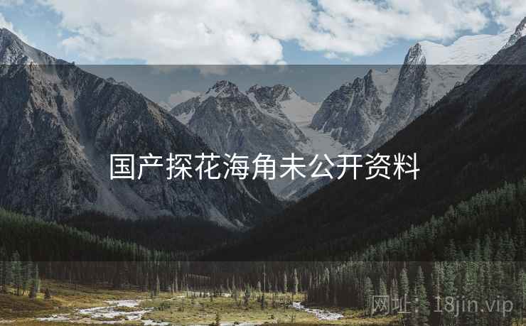 国产探花海角未公开资料