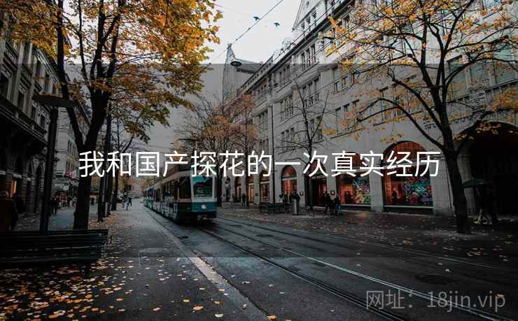 我和国产探花的一次真实经历
