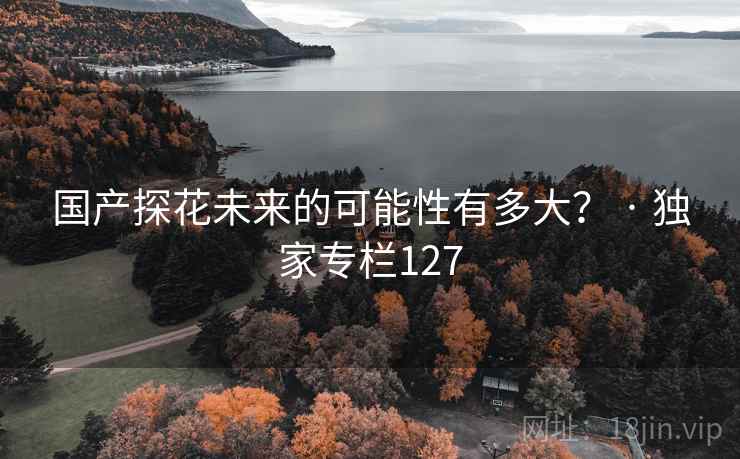 国产探花未来的可能性有多大? · 独家专栏127